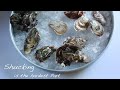 Demystifying Oysters | The City Exposed