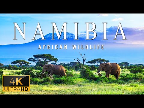 NAMIBIA Relaxing Music With Stunning Beautiful Nature Film For Reading Book