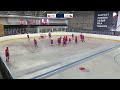 U14 - Slovakia vs. Czechia Red - 2023 World Junior Ball Hockey Championships