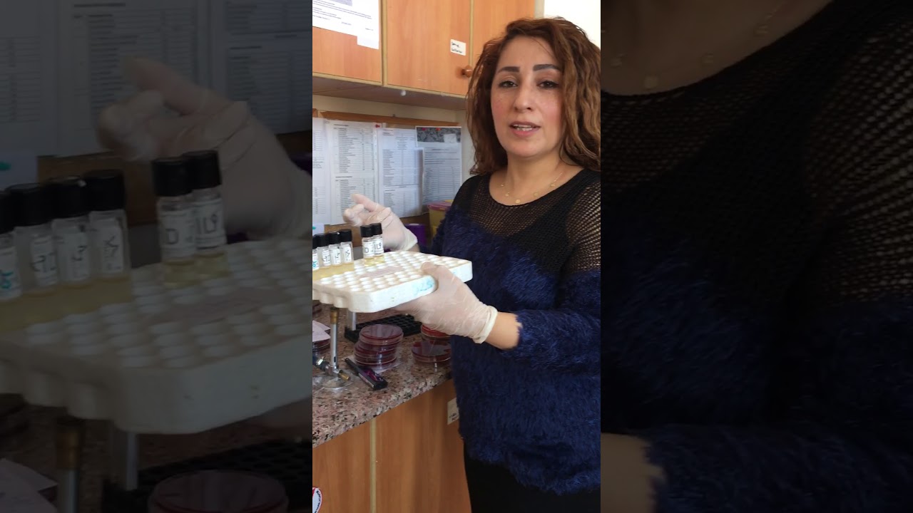 Ekim hemoliz antbibiyotik duy test. 2. Ders