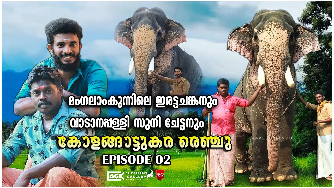നിലത്തേക്ക് ഒരു കോല് ഇട്ട് ആനയെ ഇരുത്തിയ ആനക്കാരൻ  |കോളങ്ങാട്ടുകര രെഞ്ചു| EPISODE 02