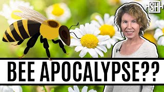 Whatever Happened to the Bee Apocalypse?