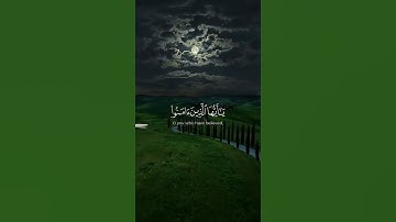 إن الله وملائكته يصلون على النبي 😴❤️ #القارئ ياسر الدوسري