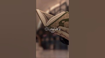 تلاوة الشيخ #ياسر_الدوسري #تلاوة_خاشعة #تلاوات_نادرة #تلاوات #تلاوة_هادئة #تلاوة_مميزة #اكسبلور