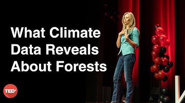 Climate Change Impact on Forests | Dr. Christiane Werner | TEDxHHN