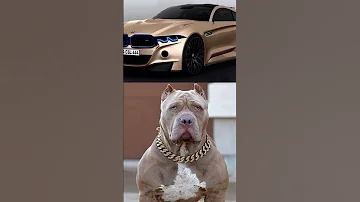 أفخم سيارات بيام دبليو 