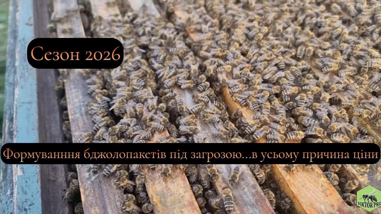 Ціни на бджолопакети не буде ???
