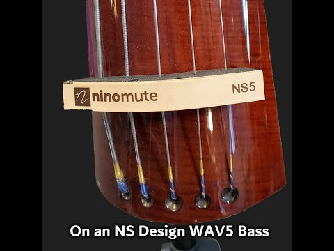 Quick Ninomute demo on NS Design WAV electric upright bass.