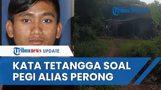 Identitas Pegi Alias Perong DPO Kasus Vina Cirebon yang Ditangkap di Bandung Dibenarkan Tetangganya