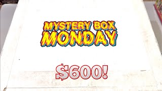 【新品未使用】Astar Network LFGM Mystery Box mqdefault.jpg