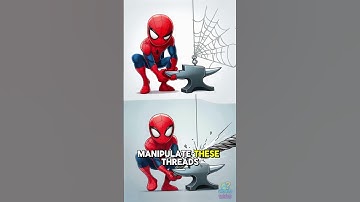 HOW DO SPIDERS make their WEBS? 🕸️ #shorts