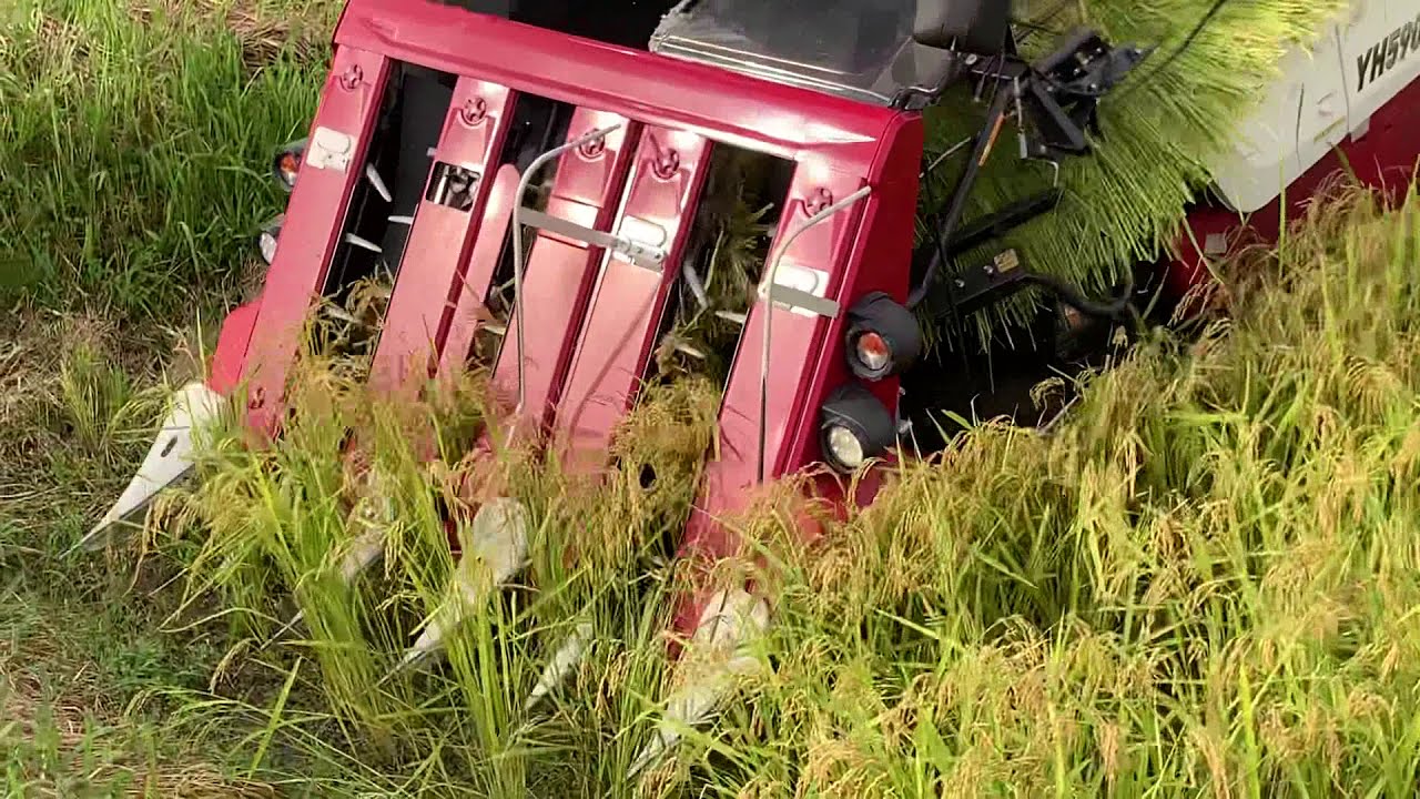 YANMAR YH590 QXJWPU