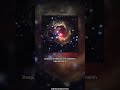 V838 Moon Light Echo Update