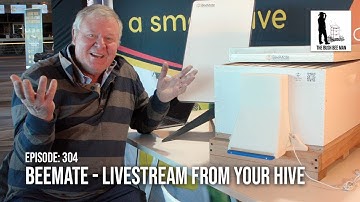 Easy Way to Count Entering the Hive - Sam Yeats | The Bush Bee Man