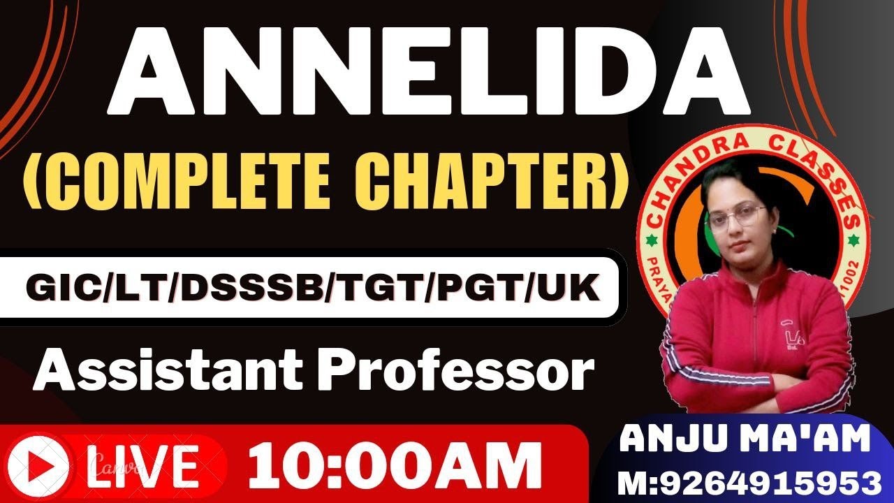 PHYLUM ANNELIDA || UP,TGT,PGT,LT,GIC,DSSSB, || BY ANJU MAM