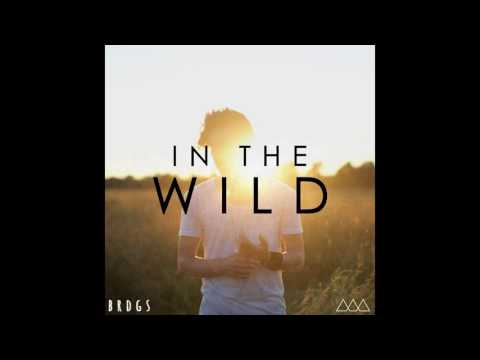BRDGS • In the Wild (Official Audio)