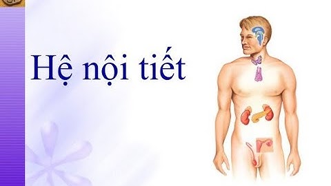 Sinh lý nội tiết | Module nội tiết