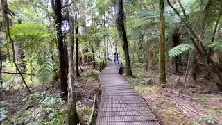 Rainbow Falls, Keri Keri Nz Oct 24, 2020