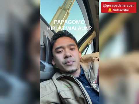 Papagomo adalah berkiblatkan oleh puak2 dan pemimpin pembangkang PN