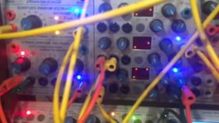 Buchla random gate lengths