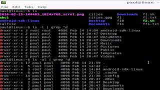 How to list only directories in Ubuntu