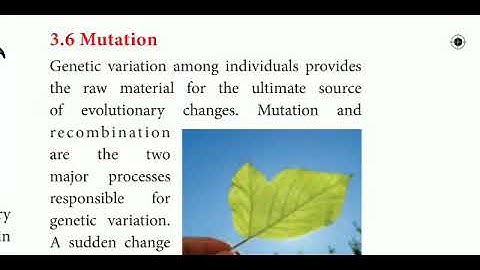 12 std Bio Botany Ln-3 Chromosomal basis of inheritance (Mutation)