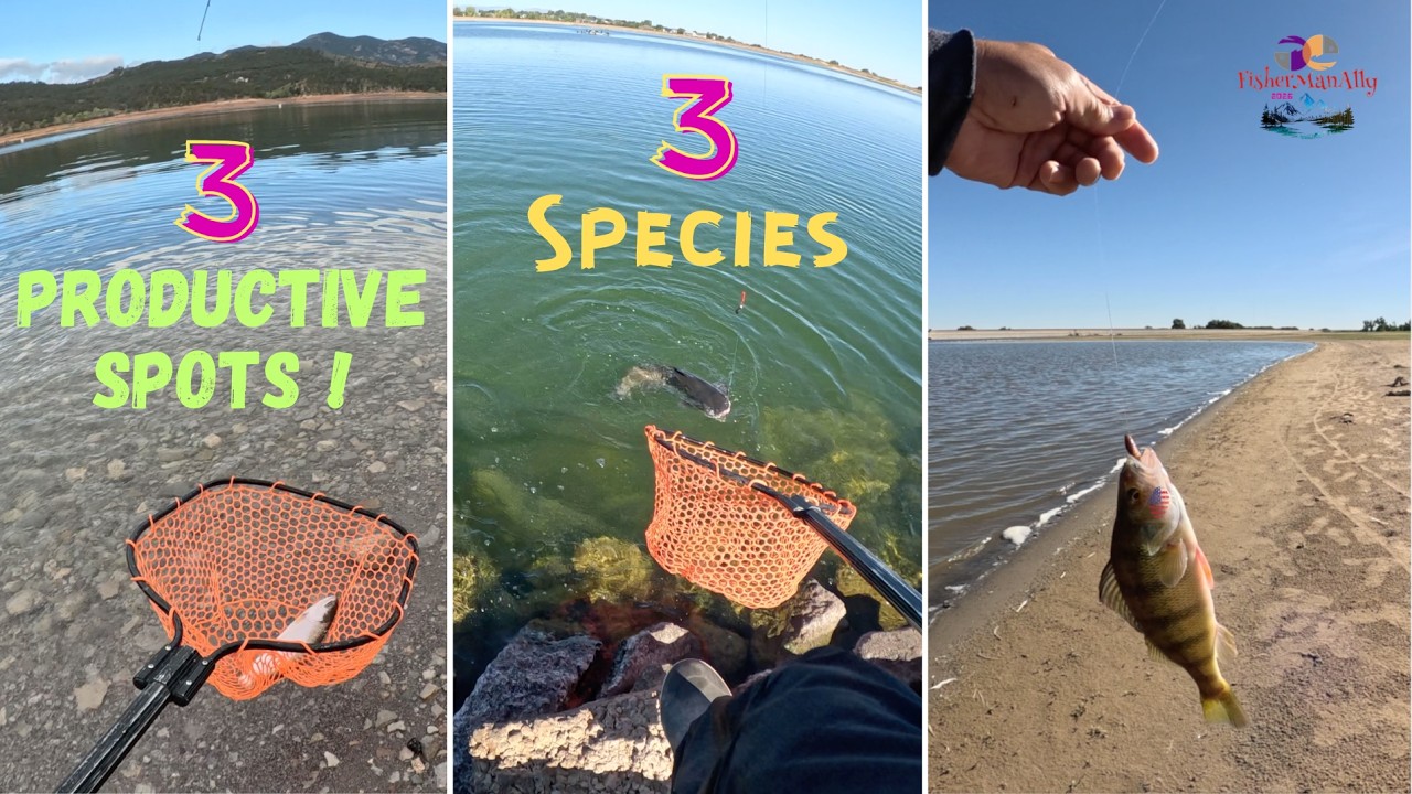 Carter Lake| Milavec reservoir| Barr Lake| 3 Productive lakes