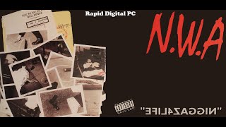 Nwa - Z 4 Life - Appee For Destruction - Vinyl 1991