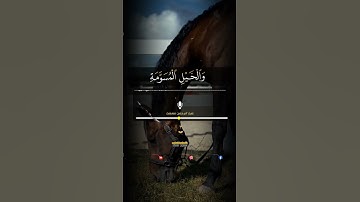 زُيِّنَ لِلنَّاسِ حُبُّ ٱلشَّهَوَٰتِ مِنَ ٱلنِّسَآءِ وَٱلْبَنِينَ||تلاوةرائعة للشيخ#عبدالرحمن_مسعد