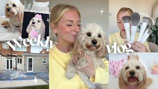 MORE house reno (it's a big one) & Sunny's 6th birthday 🥹