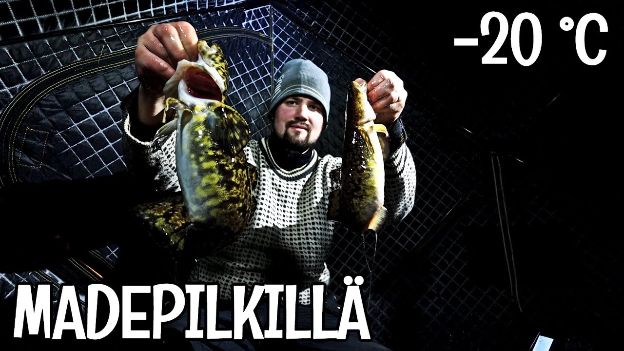 MADEPILKILLÄ PAUKKUPAKKASILLA - TELTASSA TARKENEE HYVIN!