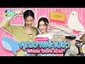 บุกกองคุณวาฬร้านชำ Whale Store xoxo คุณวาฬกับแมวน้ำ | GMMTV LIVE HOUSE