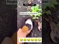 wait for end #comedy #shortsfeed #funny #comedymovies #fun #funnycomedy #comedyvideos #shortvideo #