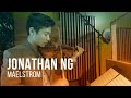 Jonathan ng  maelstrom chu berry