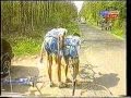 Paris Roubaix 1997
