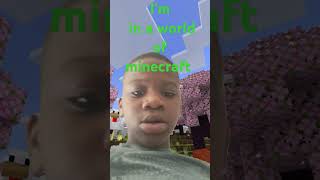 POV:your in a world of minecrart