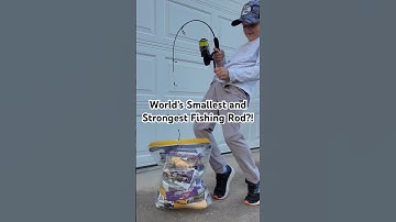 Ugly Stik Dock Runner - Worlds smallest and STRONGEST fishing rod!? 🎣 #fishing #shorts #challenge