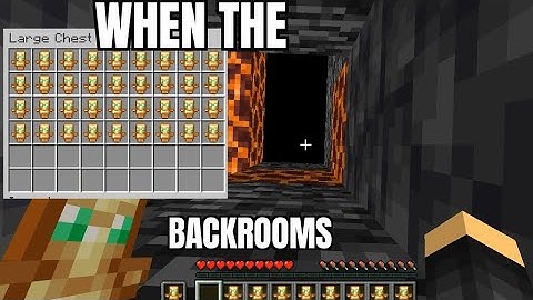 What happens if we use the Totem of Undying on the Void