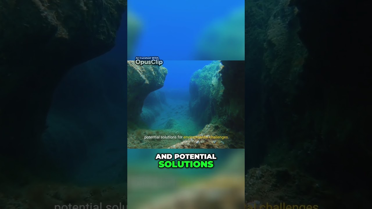 Exploring the Depths  Endolithic Research and Life in Extreme Environments