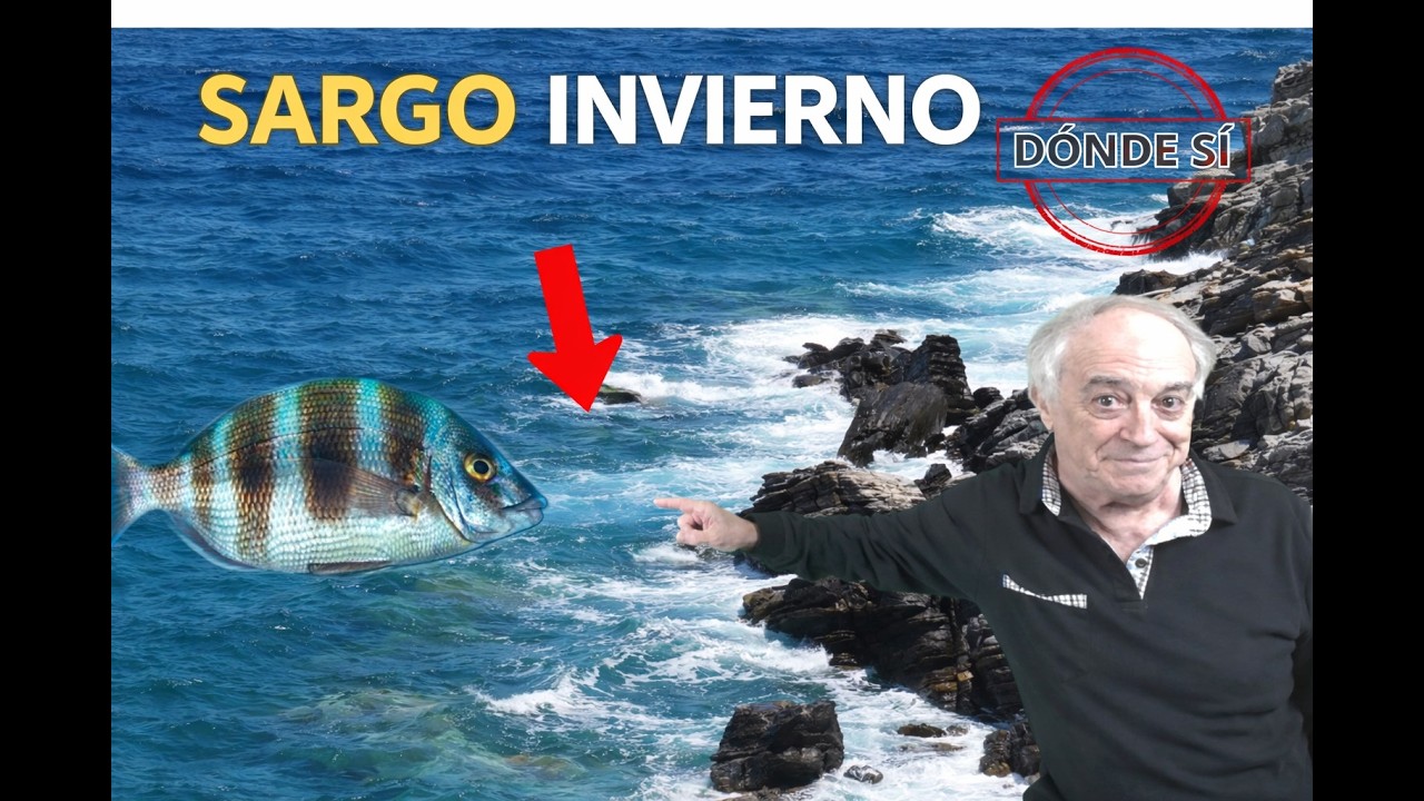 SARGO en INVIERNO desde COSTA: dónde, cuándo y cómo pescar más