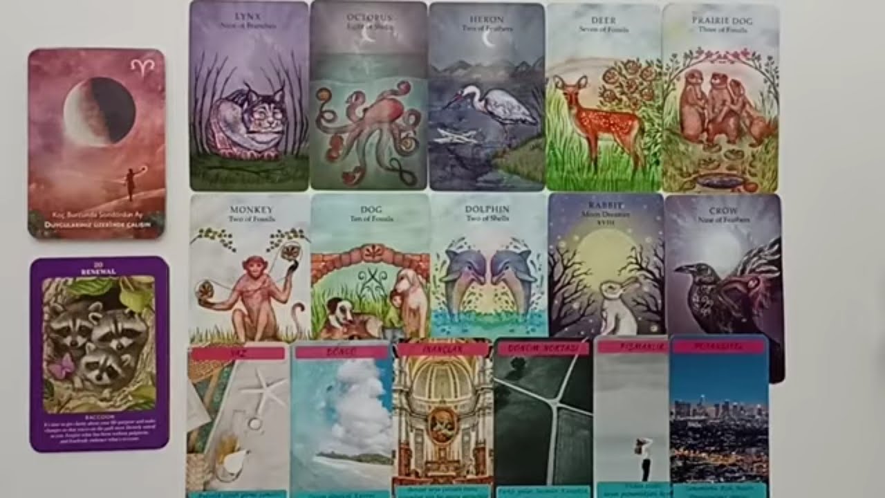 3.Enerji Yüzünden Sıkıştı😔Gelmek İstiyor❤