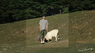 데일로그 Dailog - Campfire Official Audio