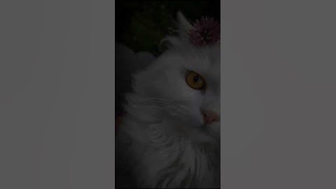 اكتب شيء تؤجر عليه ❤️😴 / القارئ ياسر الدوسري