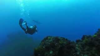 20150731 伊豆大島 ハンマー(VIRB)