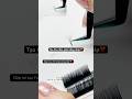 Hướng dẫn cách tạo Fan mi Volume đơn giản bằng nhíp. #eyelashextensions #eyelash #xuhuongyoutube