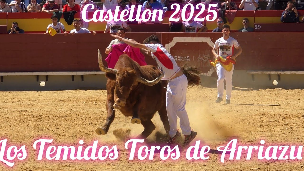 Recortes y los Temidos toros de Arriazu 2025 en Castellón Magdalena