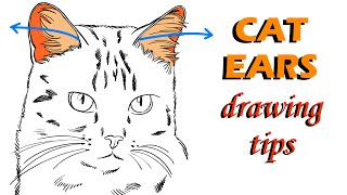 How to Draw CAT Ears!