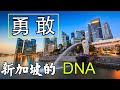 新加坡的DNA：融入血液的勇敢 What made Singapore successful？Bravery，the DNA of Singapore