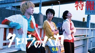 映画『タロウのバカ』特報