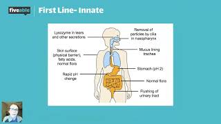 AP Biology - Immune System